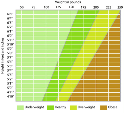 Do you have a BMI 42? | Weight Loss Information